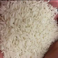 برنج طارم هاشمی درجه یک|خوردنی و آشامیدنی|تربت‌حیدریه, قائم|دیوار