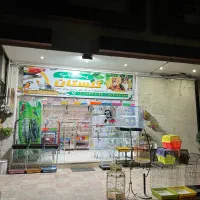 انواع پرندگان و لوازم درجه یک رسید( کار تهران)|پرنده|بیرجند, |دیوار