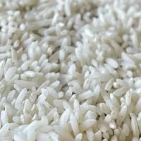 برنج کوهمره سرخی