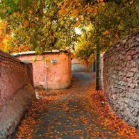 زمین مسکونی ۱۷۰متر ، بهترین لوکیشن شهمیرزاد