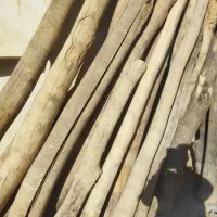 دررخت و چب چوب تیر خشک|خدمات باغبانی و درختکاری|کمیجان, |دیوار