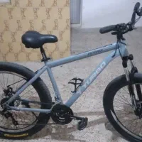 دوچرخه کوهستان حرفهای