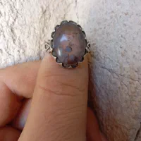 انگشتر شجر بهاره