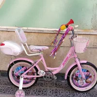 دوچرخه ۱۶ صورتی تایوان