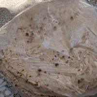 نان خانگی تنوری|خوردنی و آشامیدنی|اصفهان, فردوان|دیوار