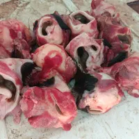 غذای سگ قیمت مناسب 30هر کیلو