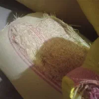 چند شلیت کاه دیم گندم داس درو بفروش میرسد