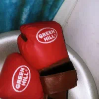 دستکش بوکس گرین هیل