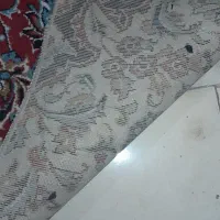 فرش قفس پایه آهنی|فرش|گلبهار, شهر جدید گلبهار|دیوار