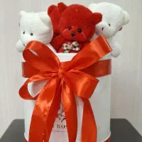 باکس هدیه خرسی ولنتاین/کادو عاشقانه/سورپرایز