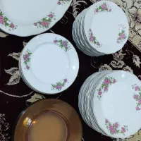 ظروف گل سرخ