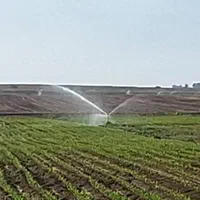 اجاره ۱۰/۵ هکتارزمین کشاورزی