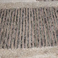 فرش دستباف هندی