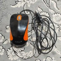 دو عدد موس سالم