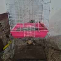 فروش قفس پرنده