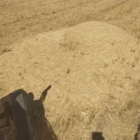 کاه|لوازم جانبی حیوانات|موچش, |دیوار