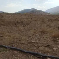 زمین فروشی سرحد روبروی دلی خلیفه ای بالادست جاده