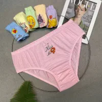 پوشاک اطلسی مد شامل لباس زیر و....