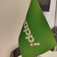 استخدام راننده با پاداش 20 میلیونی توسط خانم