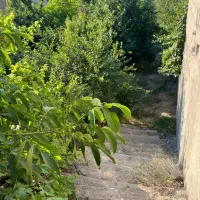 باغ چهار دیواری در محدوده شهری مهستان تهاتر|فروش زمین و ملک کلنگی|هشتگرد, کوشک زر|دیوار