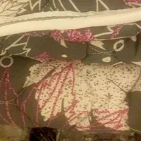 تشک مهمان