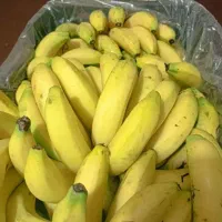 موز چابهاری لوکس