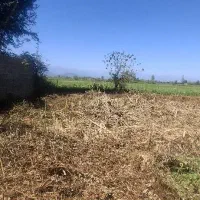 208متر کامل مسکونی|فروش زمین و ملک کلنگی|فومن, |دیوار