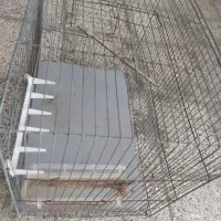 قفس فروشی فوری