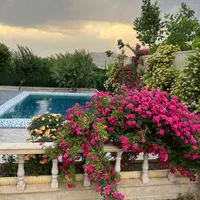 اجاره روزانه/هفتگی/ویلاباغ،سویت|اجارهٔ کوتاه‌مدت ویلا و باغ|سقز, |دیوار