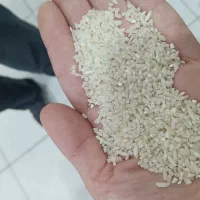 برنج هاشمی نیم دانه گیلان عطری