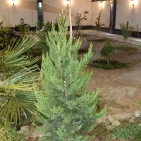 کرایه باغ ویلا نوساز ساعتی روزانه هفتگی|اجارهٔ کوتاه‌مدت ویلا و باغ|نجف‌آباد, قلعه سفید|دیوار