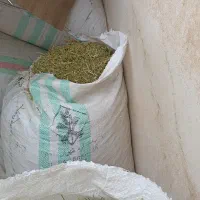 خارشترخوراک دام