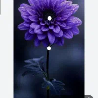 کارگر ساده ساختمان