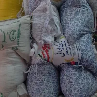 برنج هاشمی طبیعت