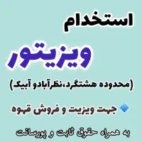 استخدام ویزیتور