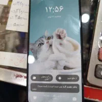 گوشی شیامی ردمی نوت 12