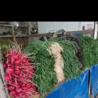 سبزی فروش