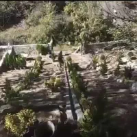 ۱۰۰۰ متر روستا ایول|فروش زمین و ملک کلنگی|کیاسر, |دیوار