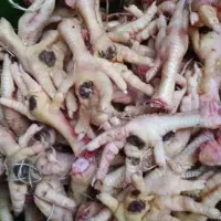 پای مرغ ضایعاتی