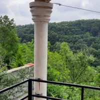 ویلا جنگلی/شبانه/روزانه/وییو کامل جنگل