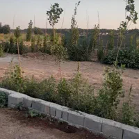 زمین /باغچه /شهر ری/امین اباد