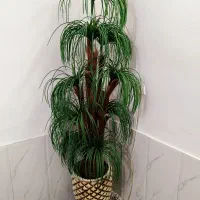 درختچه نخل مصنوعی ، با گلدان اناناسی برجسته بزرگ