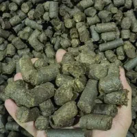 فروش 10تن تفاله فشنگی خوراک دام گونی شده