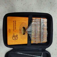 کالیمبا|پیانو، کیبورد، آکاردئون|تهران, باغ خزانه|دیوار