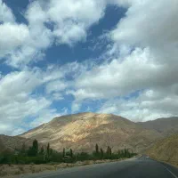 فروش زمین