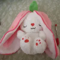 خرگوش خروپفی