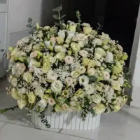 گل طبیعی باکسی