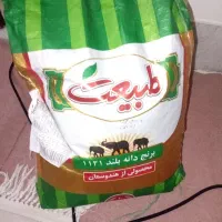 برنج هندی طبیعت