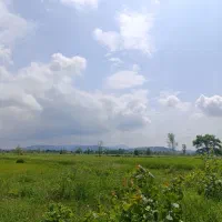 فروش/زمین/مسکونی/سندتکبرگ/لاهیجان