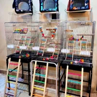 قفس پرنده لوازم کوله بازی لانه تاب دانه کف دریاوان